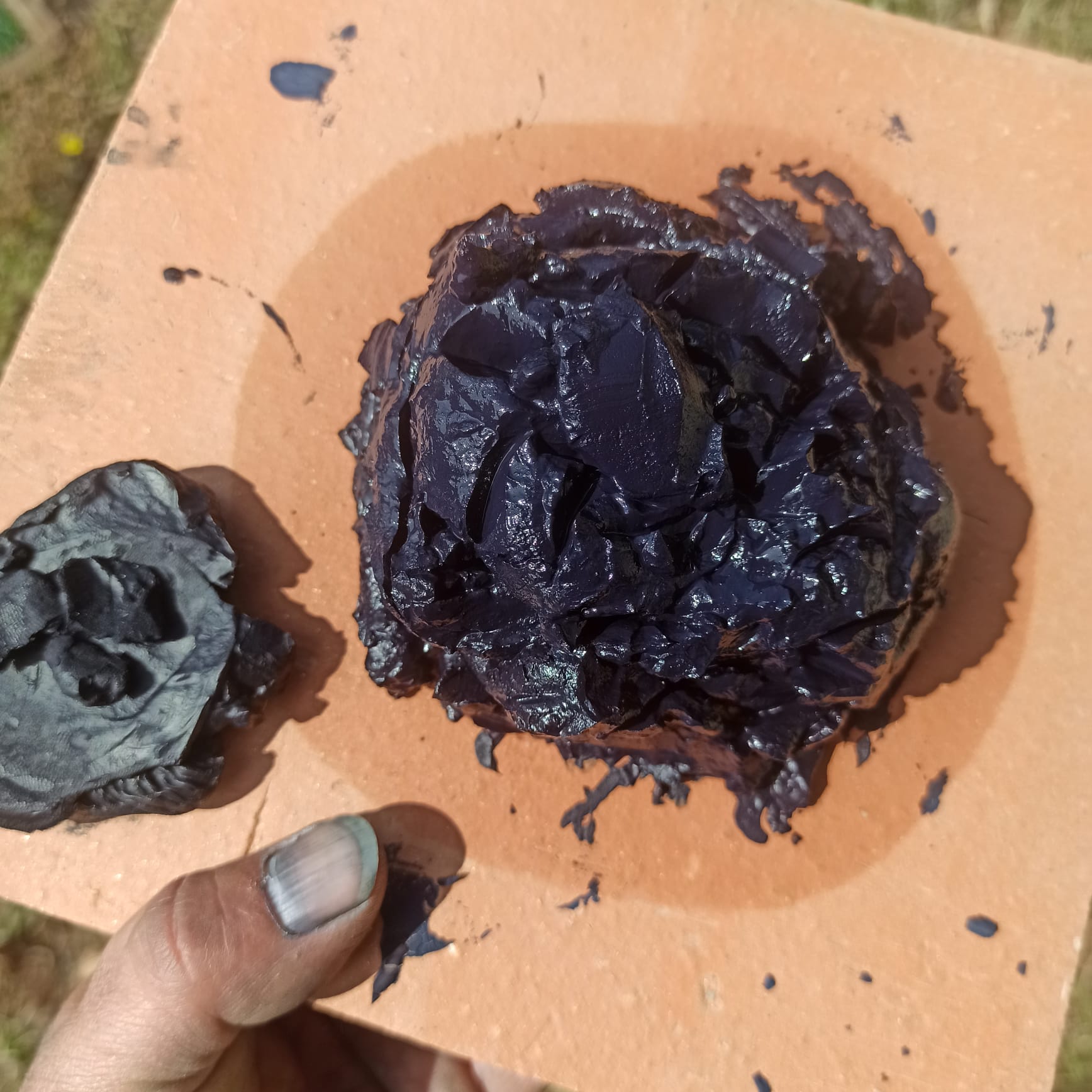 le jardin chromatique productur pigment indigo
